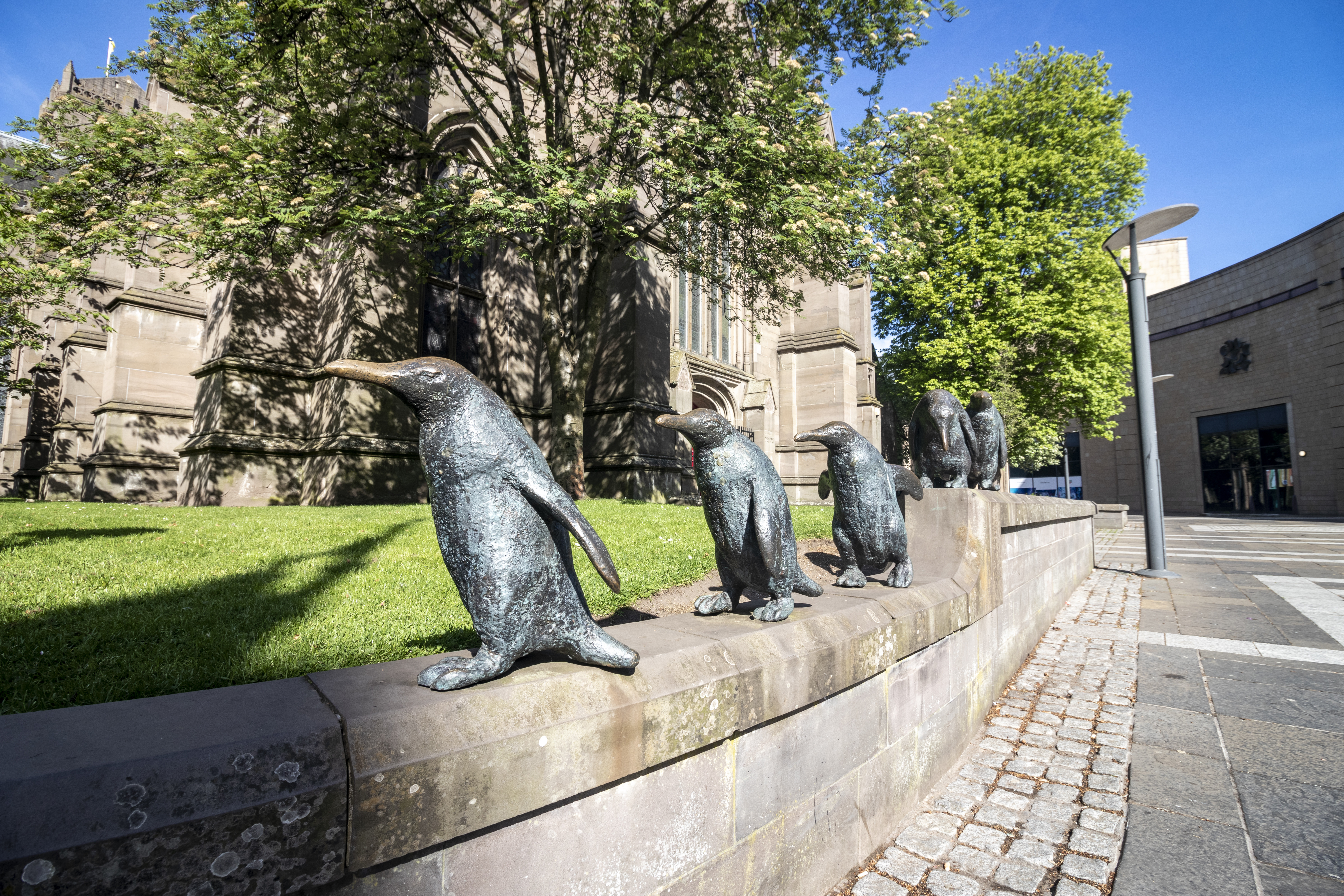 Dundee Penguins